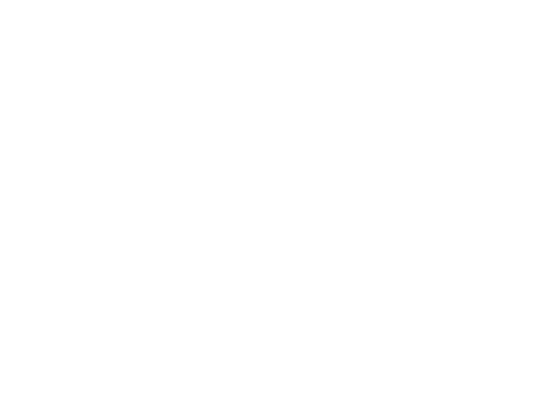 USA Passport Online